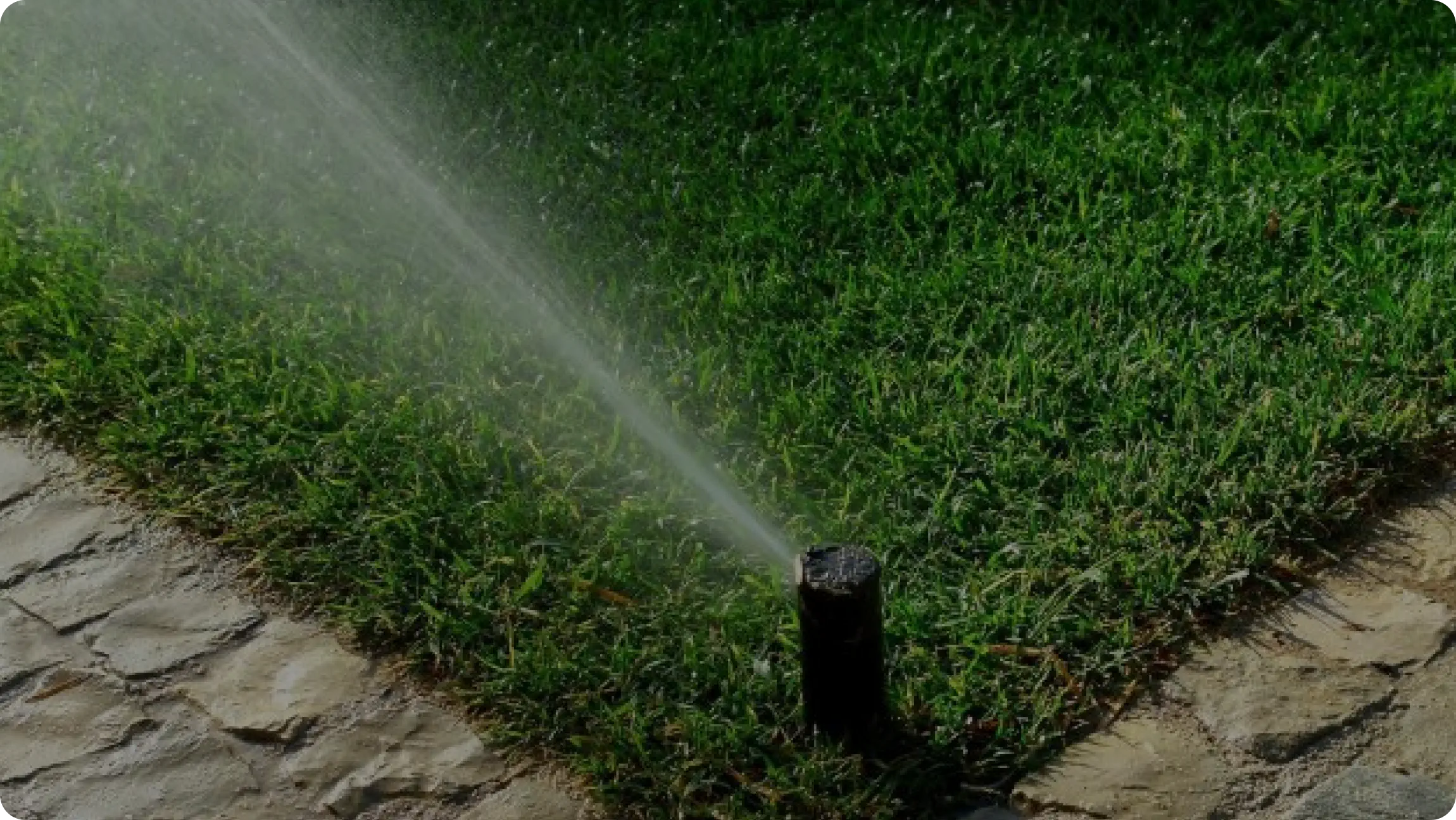 About Irrigation